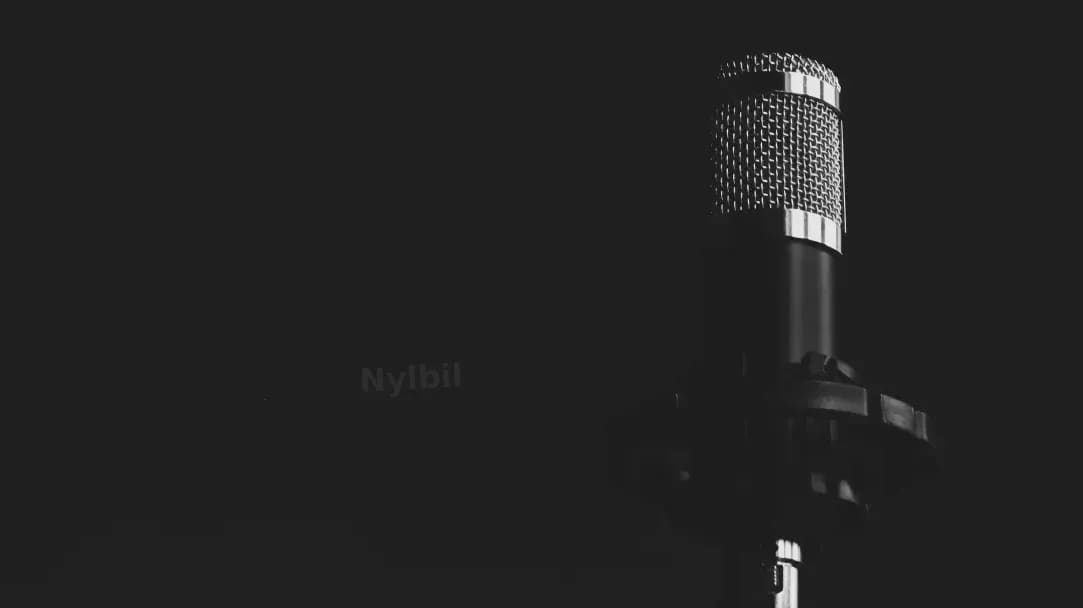Nylbil 14
